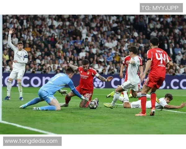 本菲卡逆袭里昂上演友谊赛惊天冷门全场沸腾瞬间回顾 本菲卡逆袭里昂上演友谊赛惊天冷门全场沸腾瞬间回顾